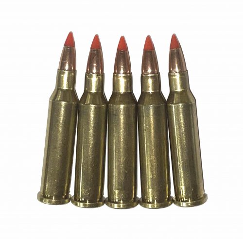 17 Hornet Dummy Rounds Snap Caps Fake Bullets .17 J&M Spec INERT
