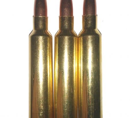 30 Nosler Dummy Rounds Snap Caps Fake Bullets .30 J&M Spec INERT