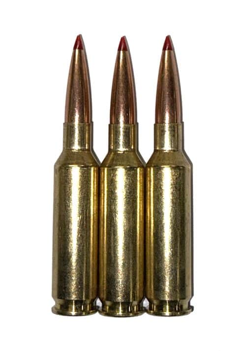 25 Creedmoor Dummy Rounds Snap Caps Training Inert